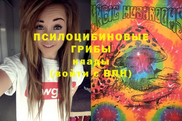 хмурый Краснотурьинск